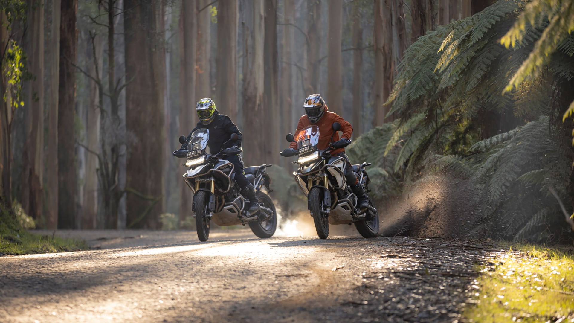Triumph tiger 1200 off road sales